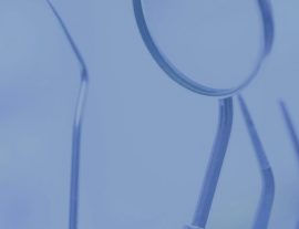 Prótesis esquelética